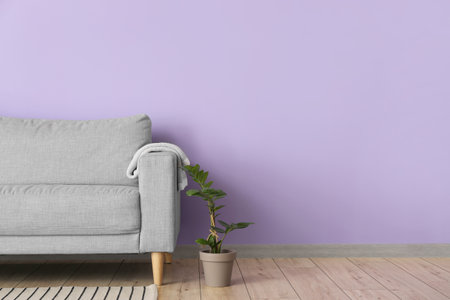 Cozy sofa near color wall in roomの写真素材
