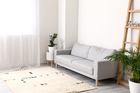 Interior of modern room with soft carpetの写真素材
