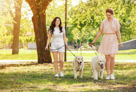 Young women with cute dogs walking in the parkの写真素材