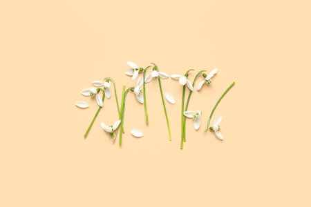 Blooming snowdrops on beige background