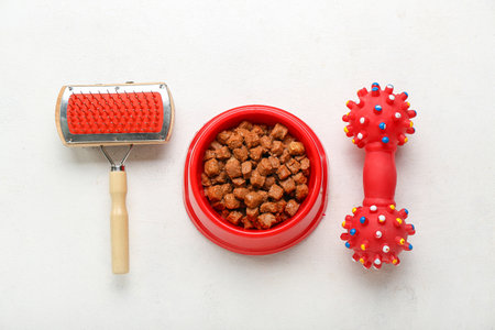 Bowl of wet pet food, toy and grooming brush on light backgroundの写真素材