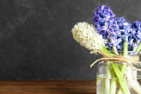 Jar with beautiful hyacinth flowers on wooden table near black wallの写真素材