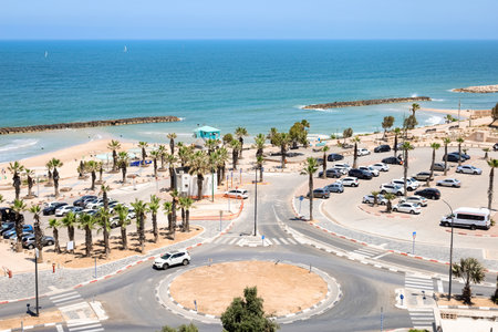 View of beautiful sea coast with palm trees and carsの写真素材