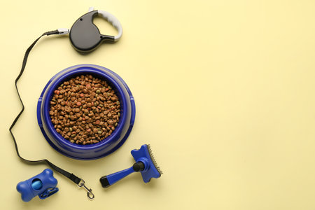 Bowl of dry pet food, grooming brush, leash and waste bags on color backgroundの写真素材