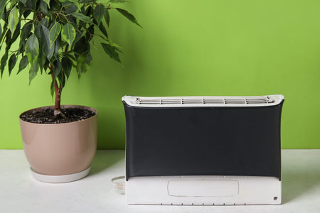 Air purifier and houseplant on table near green wall