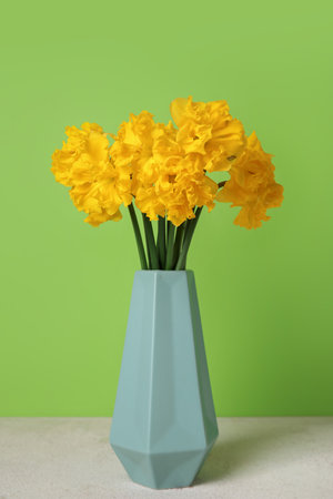 Vase with narcissus flowers on table near green wallの写真素材