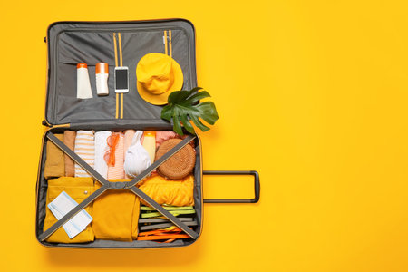 Packed luggage on color background. travel concept