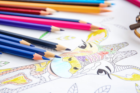 Coloring picture and pencils on tableの写真素材