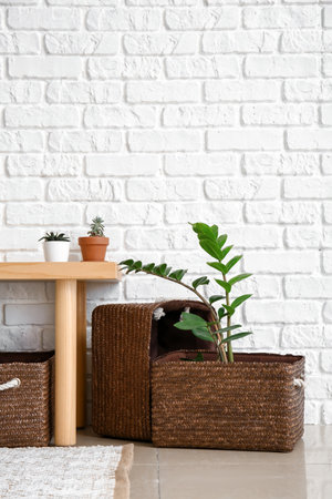 Bench with wicker baskets and houseplants in roomの写真素材