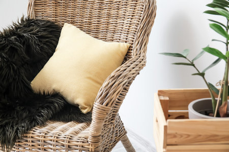 Stylish armchair with pillow and houseplant in roomの写真素材