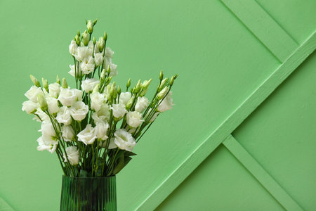 Vase with beautiful eustoma flowers near green wallの写真素材