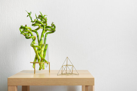 Vase with bamboo plant on table near white wallの写真素材