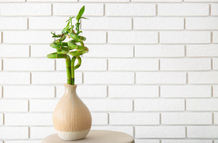 Vase with bamboo plant on table near brick wallの写真素材