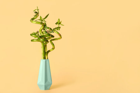 Vase with bamboo plant on beige backgroundの写真素材