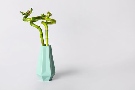 Vase with bamboo plant on gray backgroundの写真素材