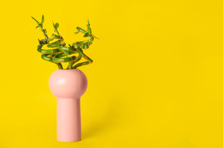 Bamboo plant in vase on yellow backgroundの写真素材