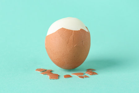 Peeled boiled egg on turquoise backgroundの写真素材