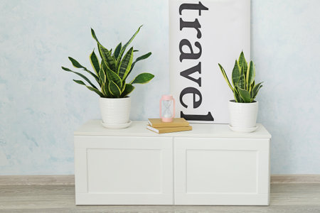 Interior of modern room with houseplantsの写真素材