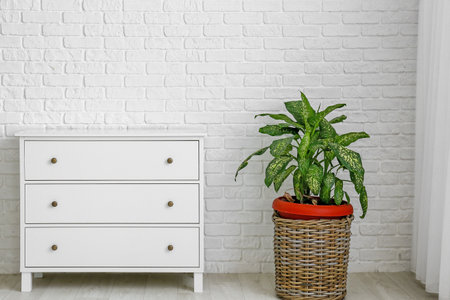 Modern chest of drawers and houseplant near brick wall in roomの写真素材