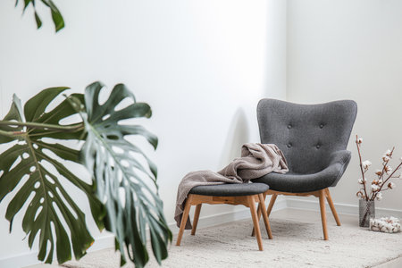 Interior of modern room with armchair and ottomanの写真素材