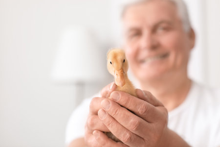 senior man with cute duckling at homeの写真素材