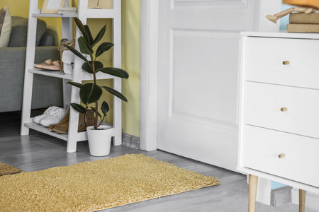 Stylish interior of modern hall with rug