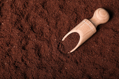 Scoop with coffee powderの写真素材