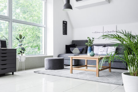 Stylish interior of living room with comfortable sofa and tableの写真素材
