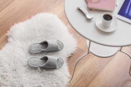Pair of soft slippers on floorの写真素材