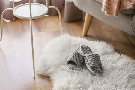 Pair of soft slippers on floorの写真素材