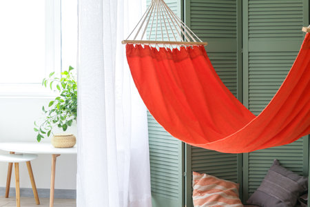 Stylish hammock in living roomの写真素材