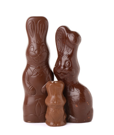 Chocolate Easter bunnies on white backgroundの写真素材