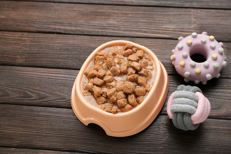 Bowl of wet pet food and toys on wooden backgroundの写真素材