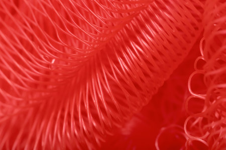 Close up view of coral sponge texture as backgroundの写真素材