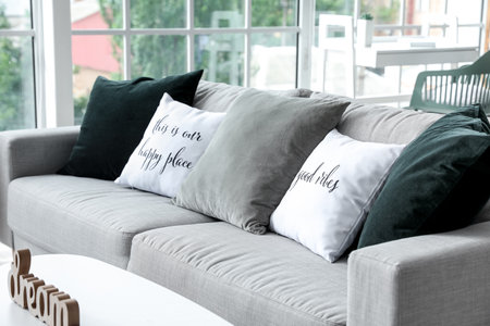 Comfortable sofa in modern roomの写真素材