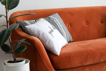 Comfortable sofa in modern roomの写真素材