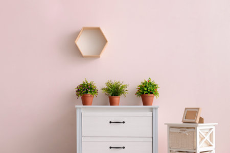 Modern chest of drawers with houseplants near color wall in roomの写真素材