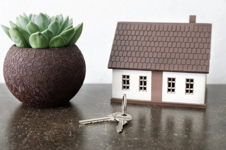 Keys from house on table in roomの写真素材