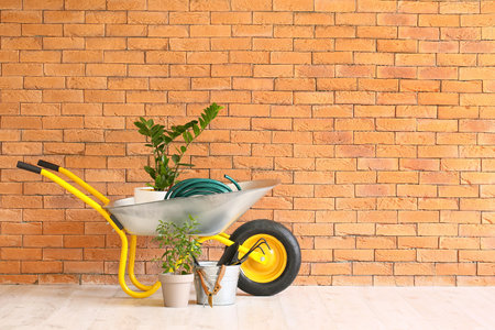 Set of gardening supplies near brick wallの写真素材