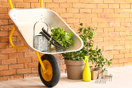 Set of gardening supplies near brick wallの写真素材