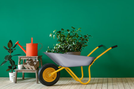 Set of gardening supplies near color wallの写真素材
