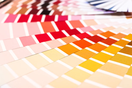 Color palettes as backgroundの写真素材