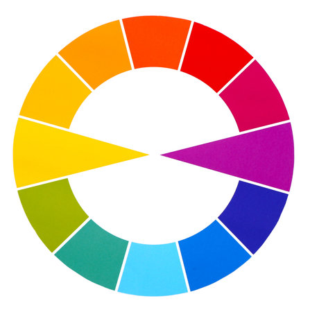 color palette on white backgroundの写真素材