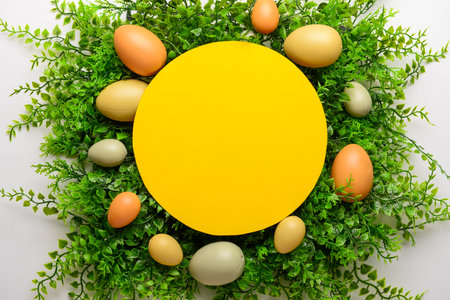 Blank greeting card with Easter eggs and plant leaves on white backgroundの写真素材
