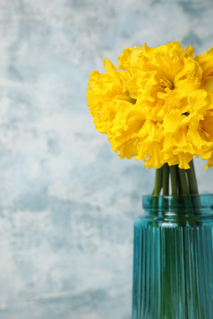 Vase with narcissus flowers on grunge background, closeupの写真素材