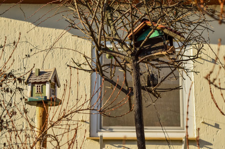 View of wooden bird house on streetの写真素材