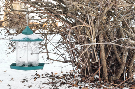 View of bird feeder covered with snow on winter day, closeupの写真素材