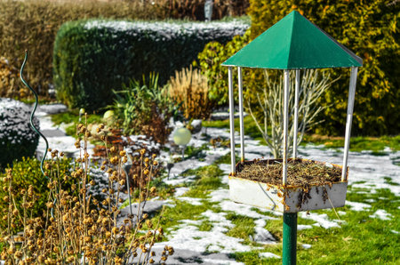 View of bird house on winter day, closeupの写真素材
