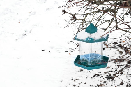 View of bird feeder covered with snow on winter day, closeupの写真素材