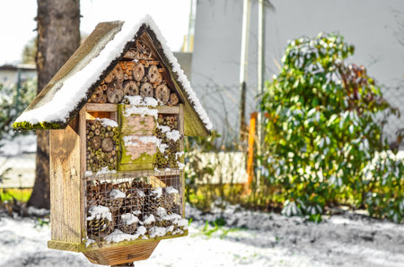 View of wooden bird house covered with snow on winter day, closeupの写真素材
